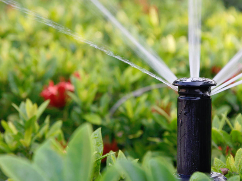 Image of an installed lawn irrigation sprinkler