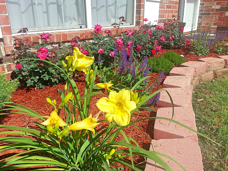 beautifully residential landscaped flower bed