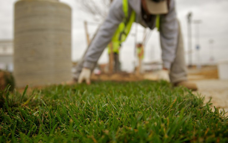 landscaper installing new sod