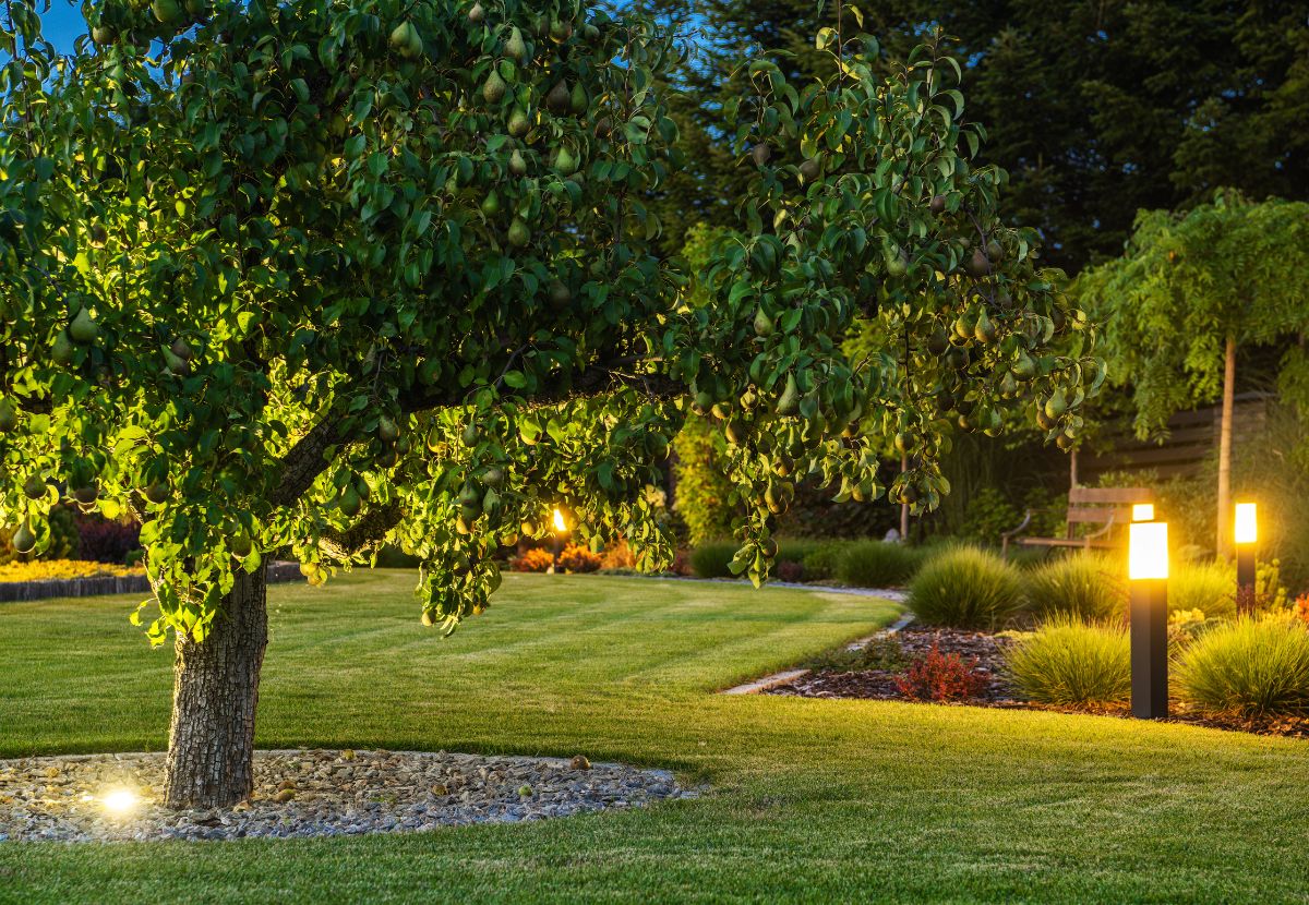 Owasso Landscape Design Landscape Design in Owasso