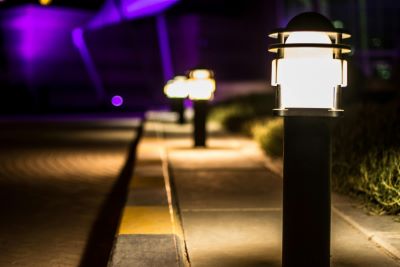 Professional landscape lighting design illuminating a garden pathway at night