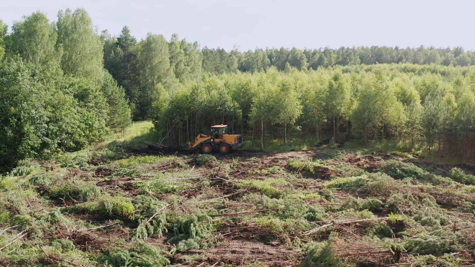 Wheel loader clearing brush and small trees from wooded acreage during residential land clearing near Tulsa, Oklahoma