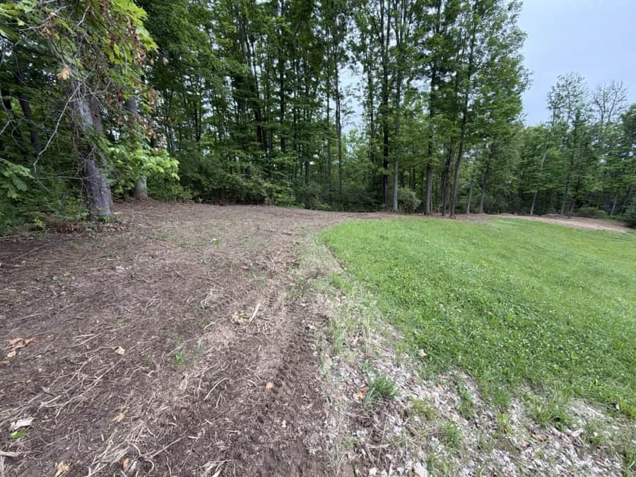 Cleared wooded edge in Tulsa, OK after brush clearing, with bare mulched ground beside a green lawn
