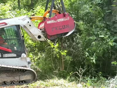 Fecon forestry mulcher attachment on a compact track loader clearing dense brush in Tulsa, OK