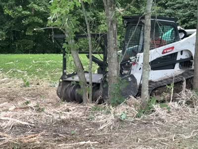 Bobcat compact track loader mulching between trees during residential land clearing near Tulsa, OK