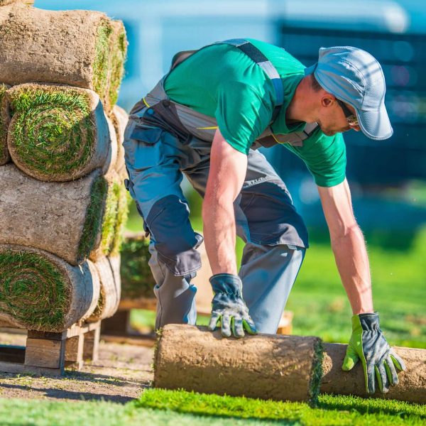 Professional landscaper completing a residential sod installation in summer