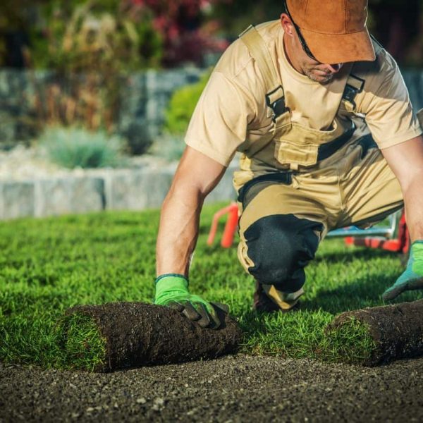 Professional landscaper installing garden bed edging as part of a landscape design