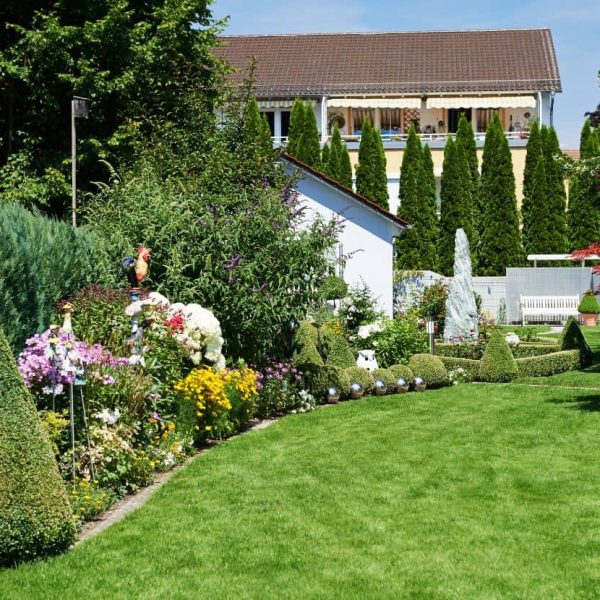 Custom backyard landscape design with rectangular pool and lush green lawn installation