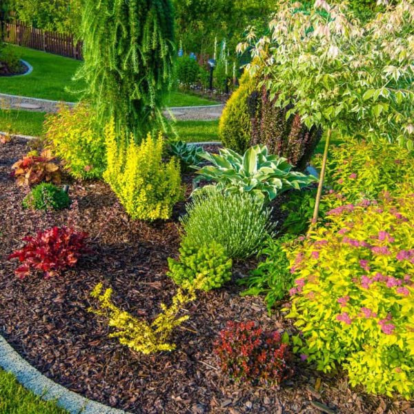 Professional landscape installation featuring colorful mixed garden borders and ornamental grasses