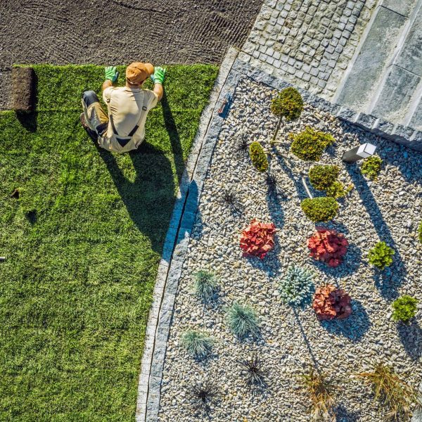 Custom landscape design featuring a vertical rock garden wall with flowering plants