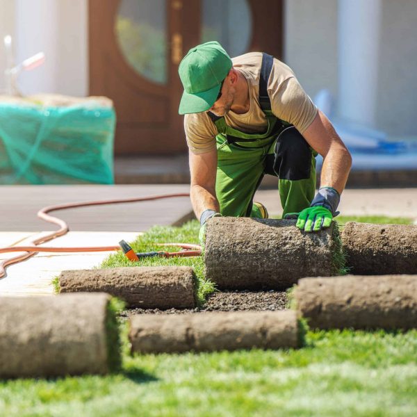 Professional landscaper installing fresh sod during residential lawn installation