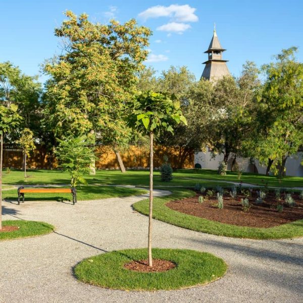 Custom landscape design featuring a circular garden island with ornamental tree