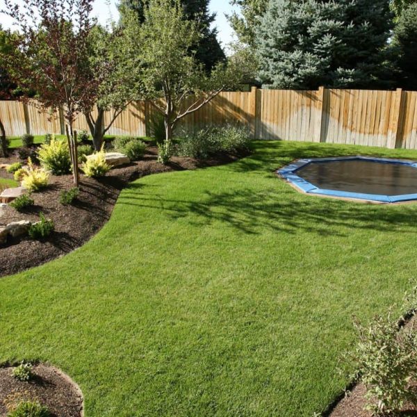 Professional sod installation creating a lush backyard lawn with defined landscape edges