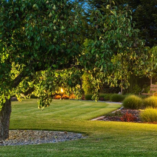 Custom sloped backyard landscape design with colorful garden beds and green lawn