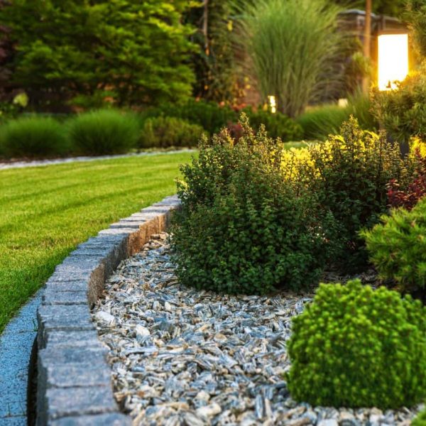 Professional backyard landscape design with curved lawn and layered garden plantings