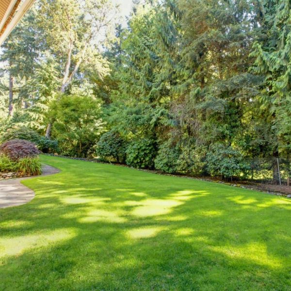 Professional lawn and landscape installation with mulched garden bed edging