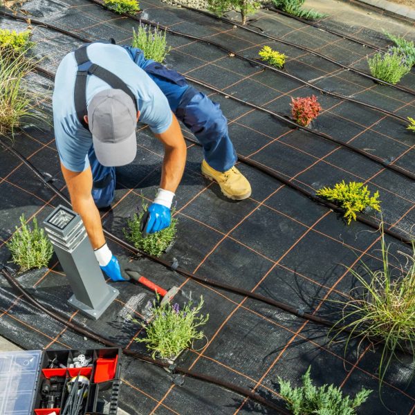 Professional hardscape installation with decorative paving stones and landscape design